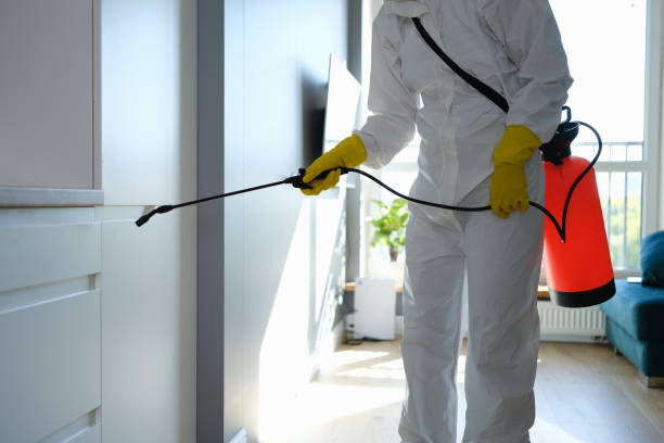 Reliable Santaquin, UT Mold Remediation Solutions